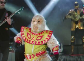 San Jose 10.26.24 line-up is released!