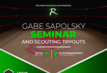 Gabe Sapolsky Seminar!